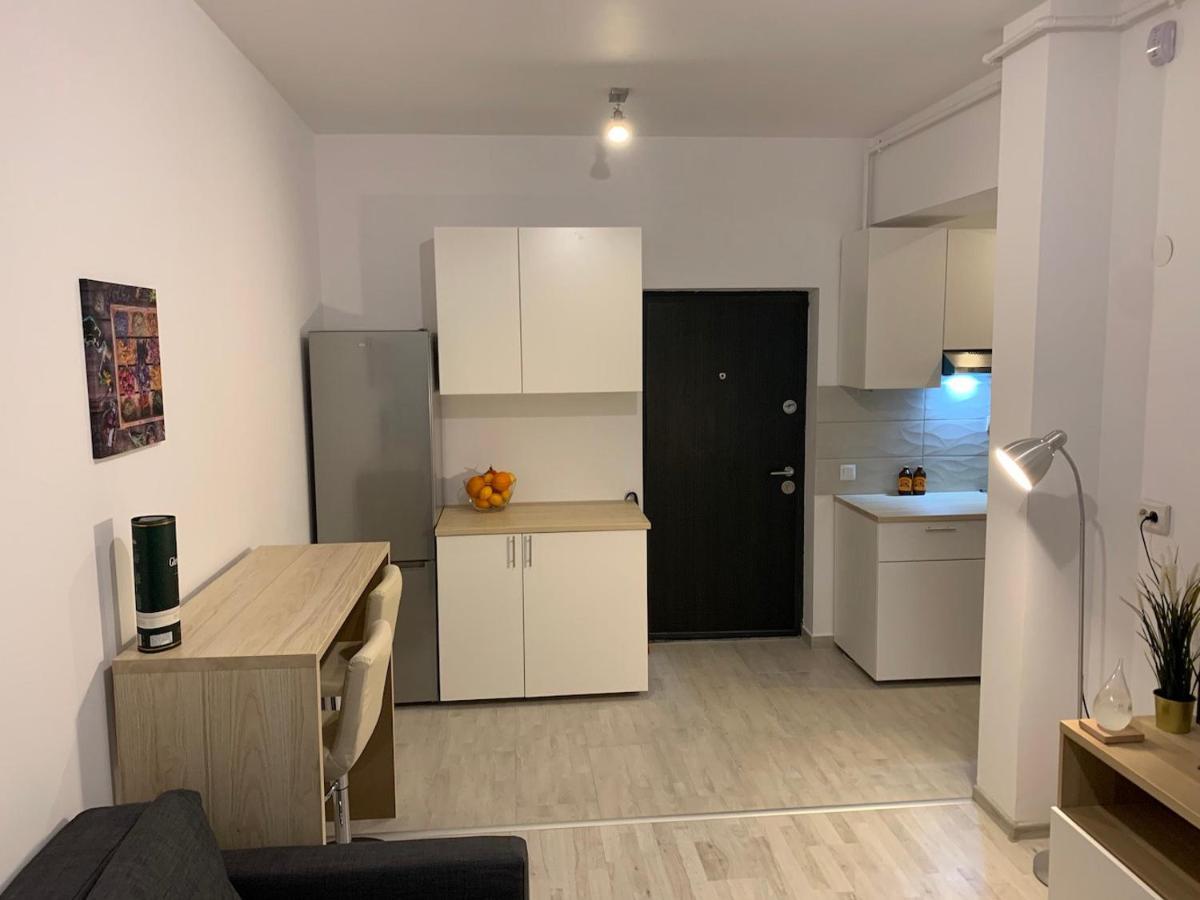 Ray Luxury Apartment Close To Presidential Palace ブカレスト エクステリア 写真